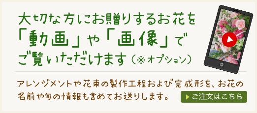 大切な方にお贈りするお花を「動画」や「画像」でご覧いただけます（※オプション）