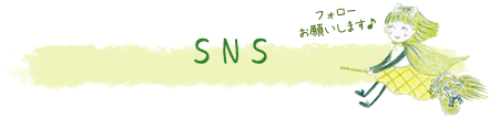 SNS